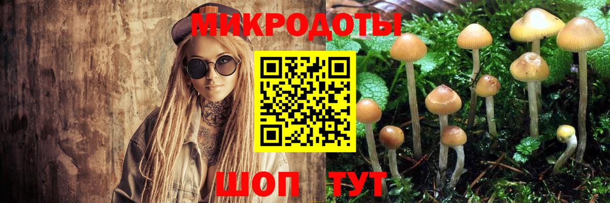 Псилоцибиновые грибы Psilocybe  Вход с VPN  Нефтекумск 